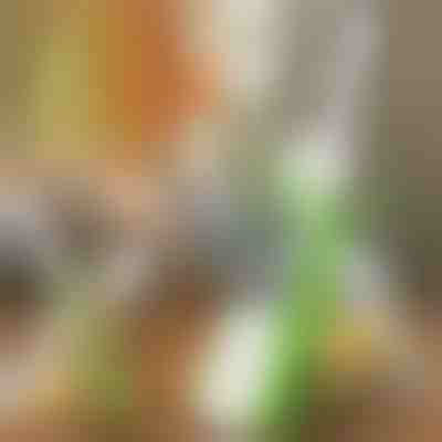 Viacúčelový sekáčik | SLICEWISE