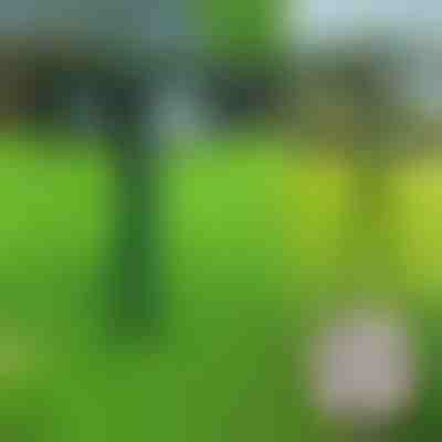 Ultrazvukový odpudzovač zvierat | SONICFIELD