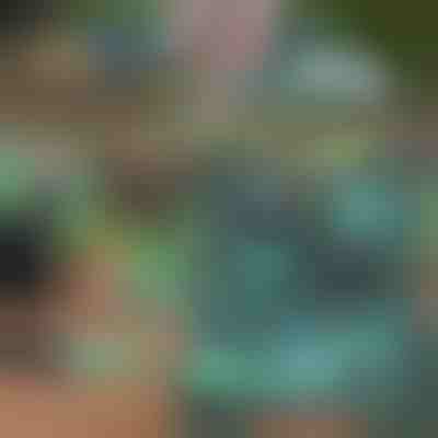 Záhradná súprava | GARDIKIT