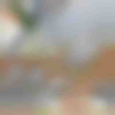 Viacúčelový krájač na zeleninu 3 v 1 | SLICEIEST