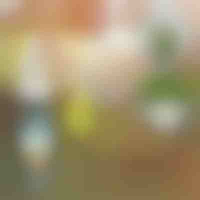 Tekuté hnojivo na rastliny | PLANTBOOST