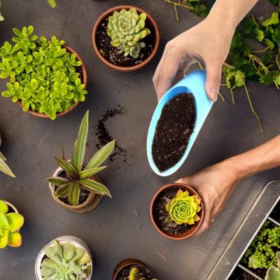 Naberanie pôdy | SCUP