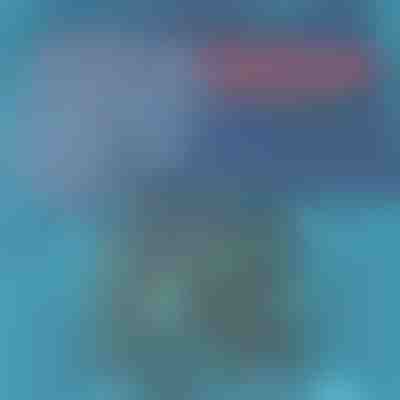 Ľahké a rýchloschnúce plavky pre mužov | TOGGIES