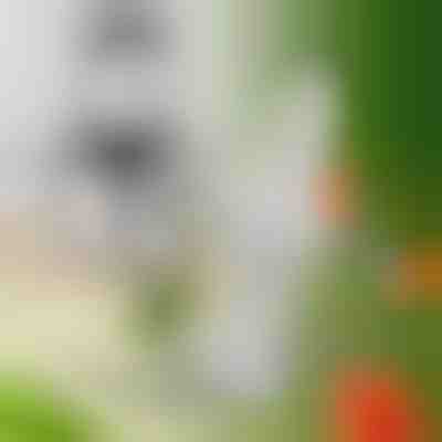 Extra nože pre MULTIMINCER | MULTIBLADE