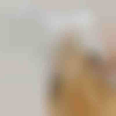 Kefa na ľahké odstraňovanie srsti domácich zvierat | GROOMSY