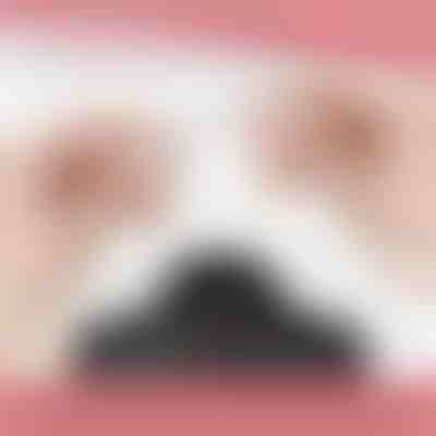 Magnetický náhrdelníkový uzáver (12 ks) | MAGILINK