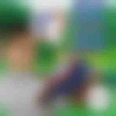 10+10 PENOVÝCH ŠÍPOV ZADARMO pre BLASTKID | F2OAMBULLETS