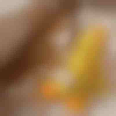 Upokojujúca plyšová hračka pre psov s kvákajúcim zvukom - znižuje separačnú úzkosť | CALMQUA