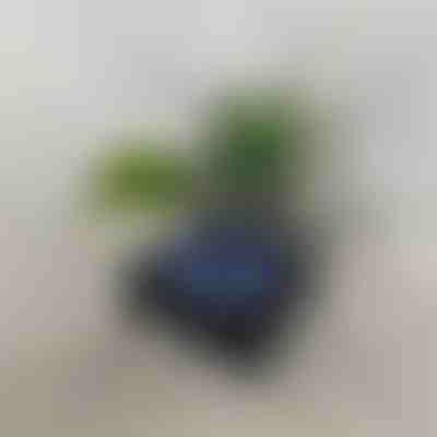 Retro Bluetooth reproduktor s projektorom oceánskych vĺn (14 x 15 cm) | VIVAPLAY