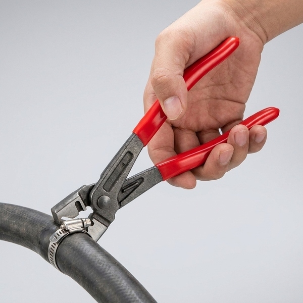CARPLIERS